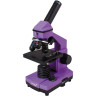 Микроскоп LEVENHUK Rainbow 2L PLUS Amethyst (Аметист) 69042